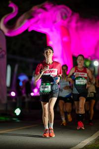 BIB: 
                            <button type="button" onclick="openModal(26530942)" class="btn btn-primary btn-sm float-right btn-popup" data-toggle="modal" data-target=".modal-high-quality">
                        <i class="fas fa-shopping-cart"></i> Add to Cart
                    </button>
                                            <button type="button" onclick="isThisMe(26530942, true)" class="btn btn-success btn-sm float-right btn-popup btn-isme hidden" data-toggle="tooltip" data-placement="bottom" title="นี่คือรูปของคุณใช่ไหม คลิกที่นี่เพื่อเอาเข้าอัลบั้ม">
                        <i class="fas fa-plus"></i> Add to album
                    </button>
                    <button type="button" onclick="isThisMe(26530942, false)" class="btn btn-warning btn-sm float-right btn-popup btn-isnotme hidden">
                        <i class="fas fa-ban"></i> Remove from album
                    </button>